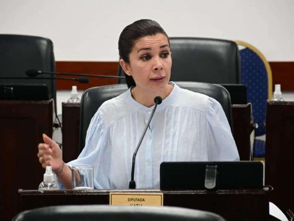 Suspensión de las PASO en Chaco: acusan a diputada de traición