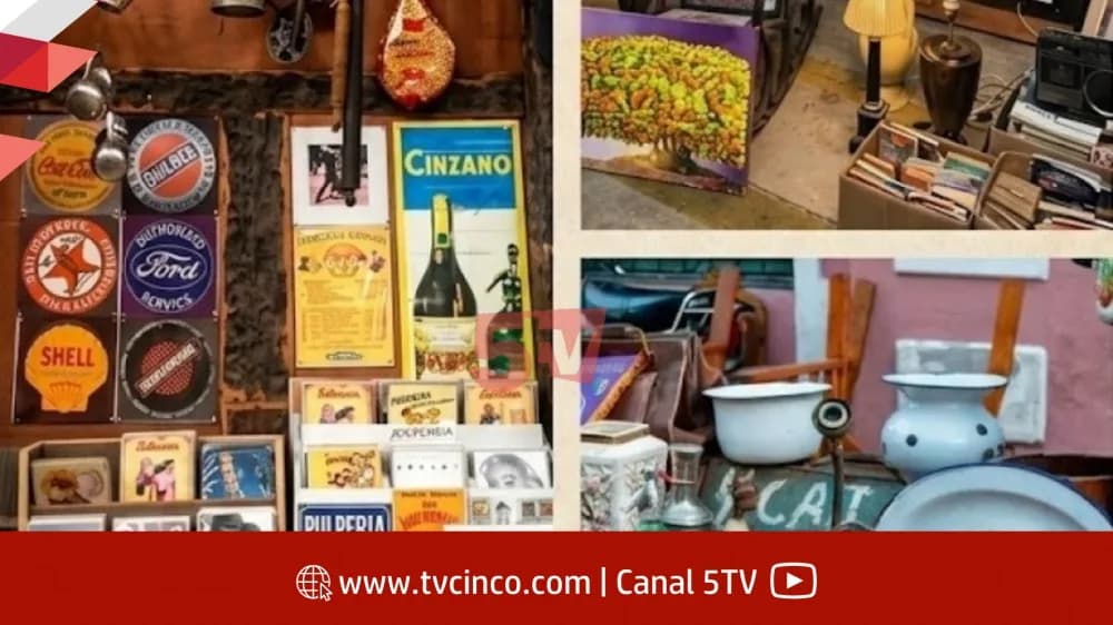 Portada de video: Cuáles son los requisitos para participar del Mercado de Pulgas