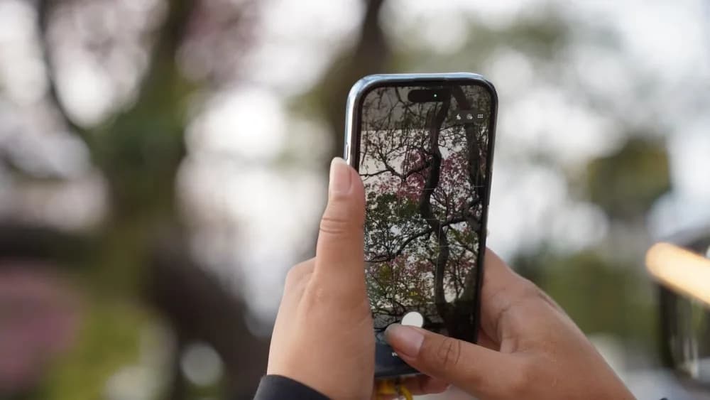La primavera se hace esperar: el calor vuelve recién el jueves