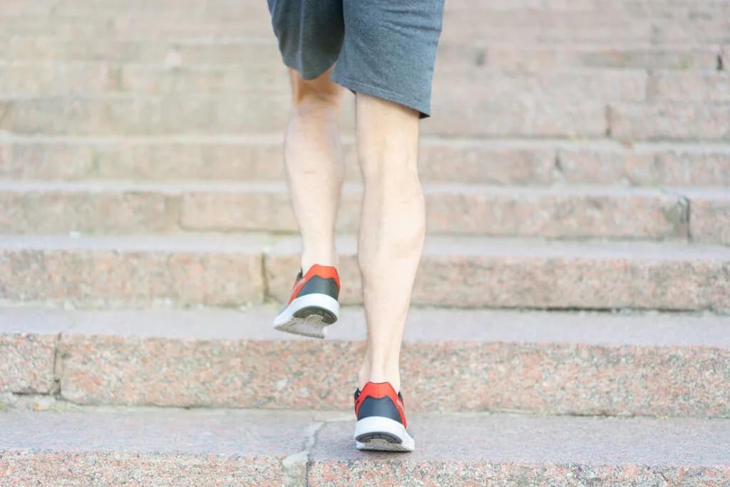 Caminar o subir escaleras a partir de los 60: la ciencia tiene claro qué ejercicio exige más a tus piernas