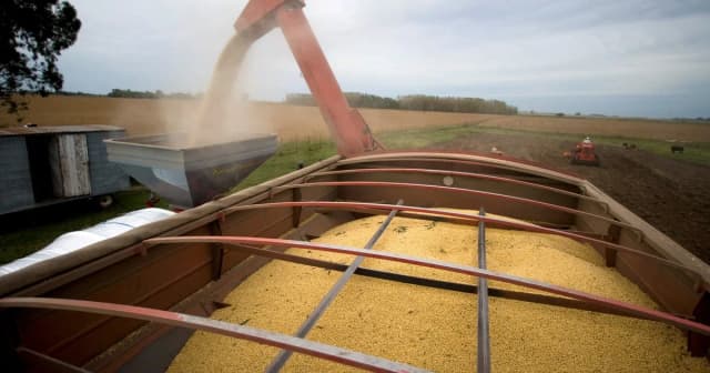 Revelan que de cada $100 que genera una hectárea agrícola, $58,2 se destinan al pago de impuestos nacionales, provinciales y municipales