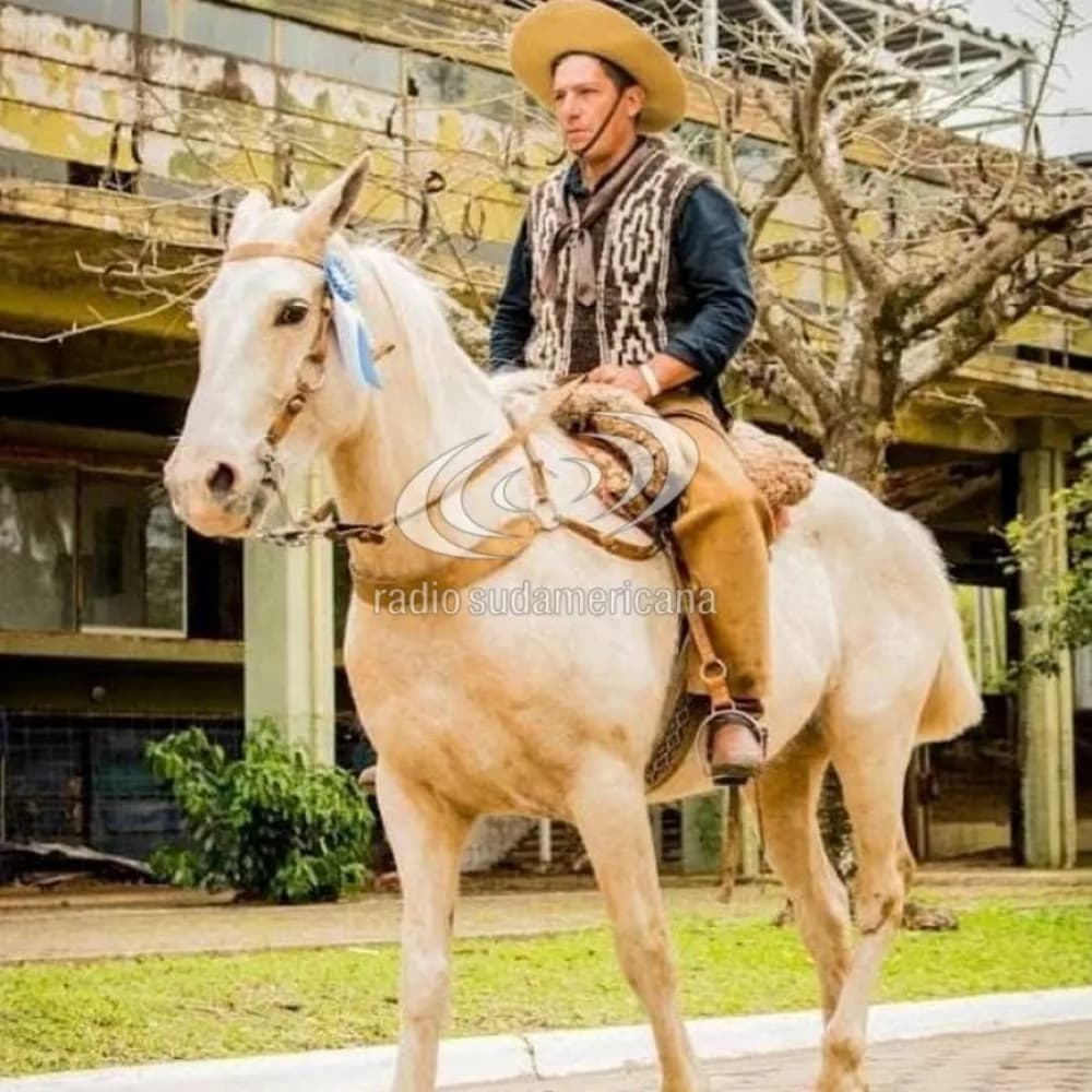 Mataron de un tiro a un caballo campeón: Peregriné a Itatí con él