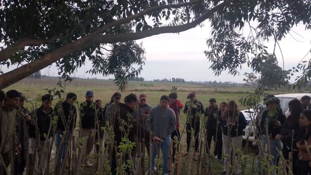 Estudiantes conocieron en terreno el ciclo productivo de la nuez pecán