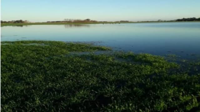 El Niño en el NEA: advierten sobre riesgos productivos y operativos para los cultivos