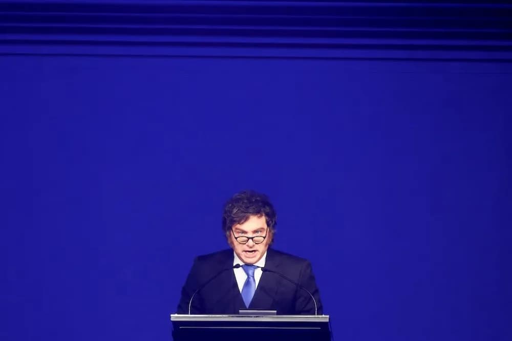 Milei: Si reelegimos, 2028 será el mejor año económico de la historia