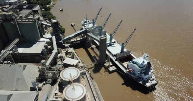 Ingresaron US$ 3.228 millones: por el maíz, la liquidación del agro creció 17% en septiembre