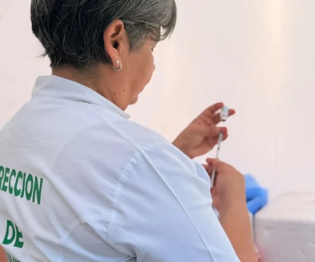Corrientes: continúa la vacunación contra el dengue en la plaza Vera