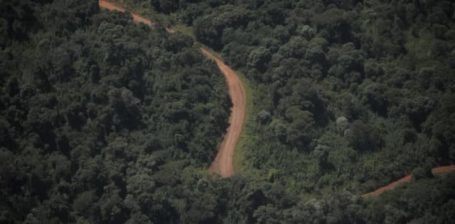 Misiones busca frenar la venta indiscriminada de tierras a extranjeros