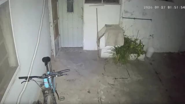 Le desaparecían cosas de su casa, instaló una cámara para atrapar al ladrón y se llevó una sorpresa insólita