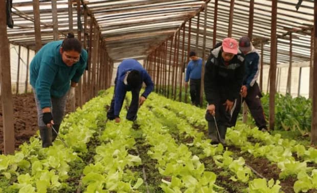 Cooperativas del agro se rebelan: reclaman créditos, infraestructura y eliminación de retenciones