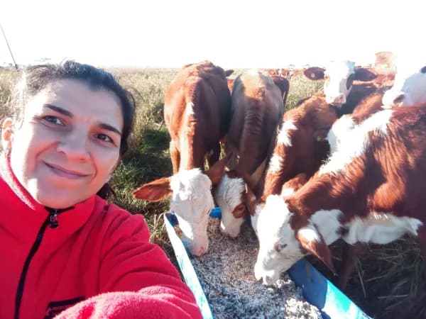 Destete precoz de bajo estrés en el ganado: la innovadora estrategia del INTA Corrientes ante el riesgo de inundaciones