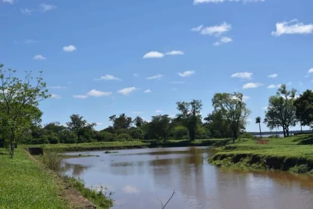 Sigue creciendo el río Uruguay y el pico llegaría el domingo a Santo Tomé