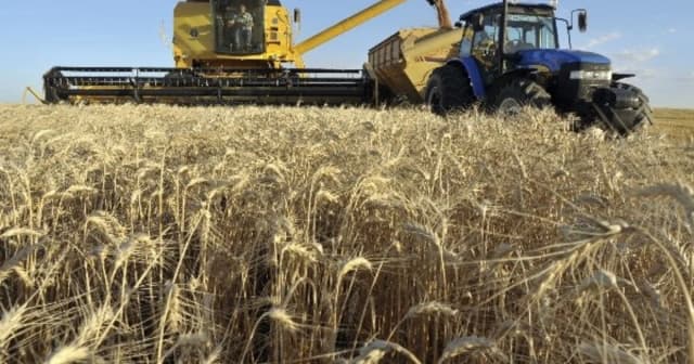 Campo y política: mientras los países del Mercosur apoyan al sector, en Argentina el Estado capta sus recursos