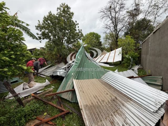Temporal en Curuzú Cuatiá: un perro murió electrocutado tras la tormenta