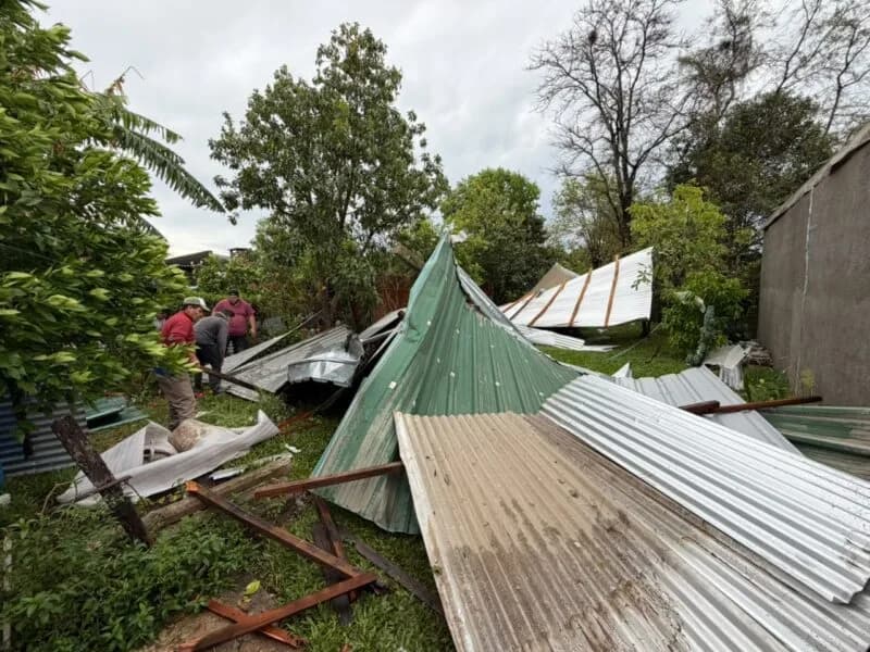 Temporal en Curuzú Cuatiá: retiraron más de 20 árboles caídos y asisten a familias