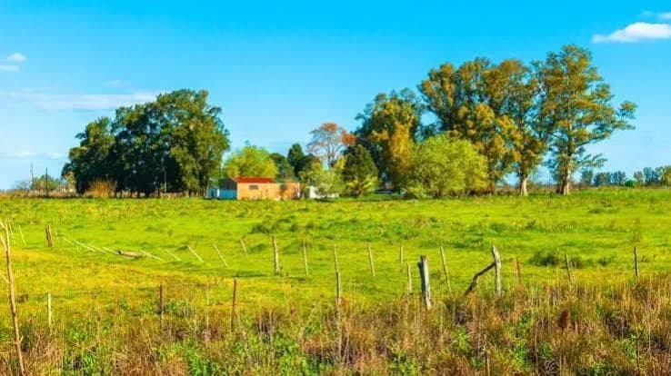 La Corte Suprema revirtió su decisión y restablece el límite de compra de tierras argentinas por parte de extranjeros