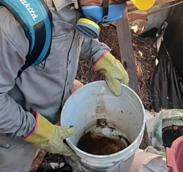 Lluvias y mosquitos: preocupación por la creciente amenaza del dengue