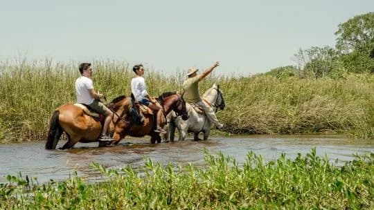 Fin de semana largo: Corrientes alcanzó un 72 % de ocupación hotelera impulsada por el ecoturismo y la pesca