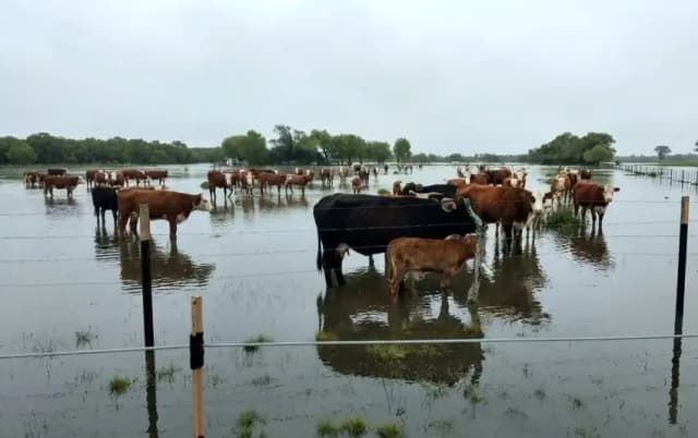 “La situación es hoy muy compleja”: preocupación en Empedrado por la crecida del Paraná
