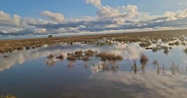 El Niño comienza a golpear en el Litoral: alarma entre los productores por la crecida de los ríos Uruguay y Paraná
