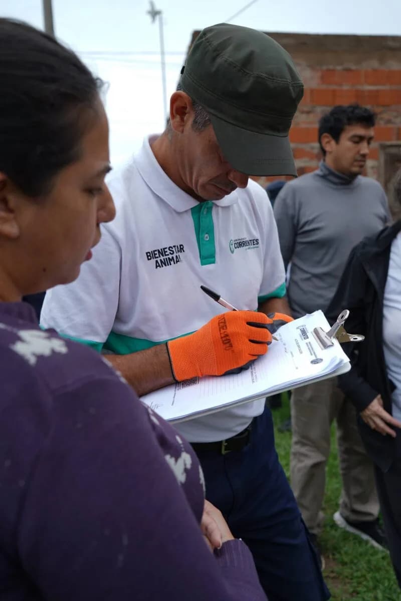 Rescataron a cuatro perros víctimas de maltrato y desnutrición