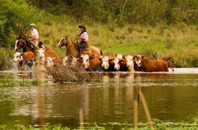La crecida de los ríos Paraná y Uruguay mantiene en alerta al Litoral y son más de 100 los evacuados y autoevacuados
