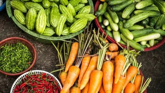La paradoja de nuestro tiempo: el hambre no es un problema de escasez, sino de distribución y desperdicio