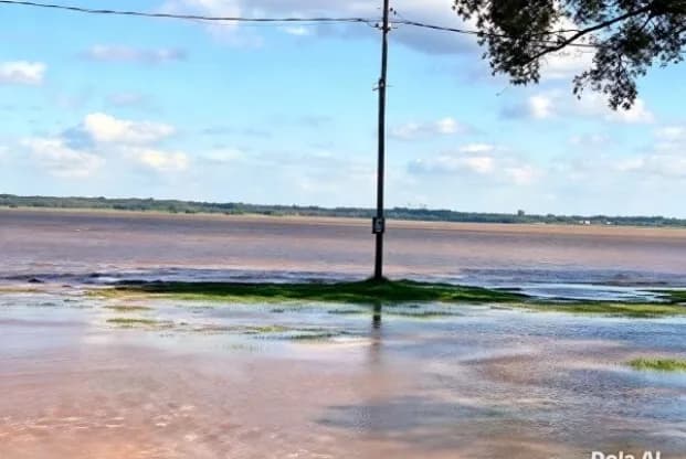 Avance e Ingreso de la Crecida del Río Paraná en Isla Cerrito