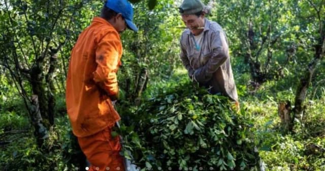 Tras más de un mes de demora, el Gobierno prorrogó la medida que complementa los planes sociales con el trabajo rural por un año más