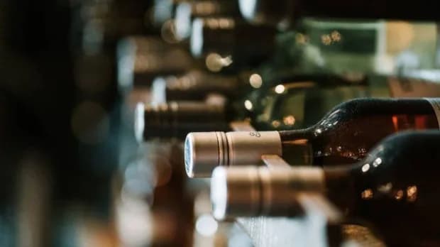 ARCA subasta más de 900 botellas de vino de famosísimas marcas: cómo participar