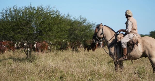 Una de las principales empresas agropecuarias del norte del país desembolsó casi US$ 23 millones por un nuevo campo y sigue expandiendo su negocio de carne premium
