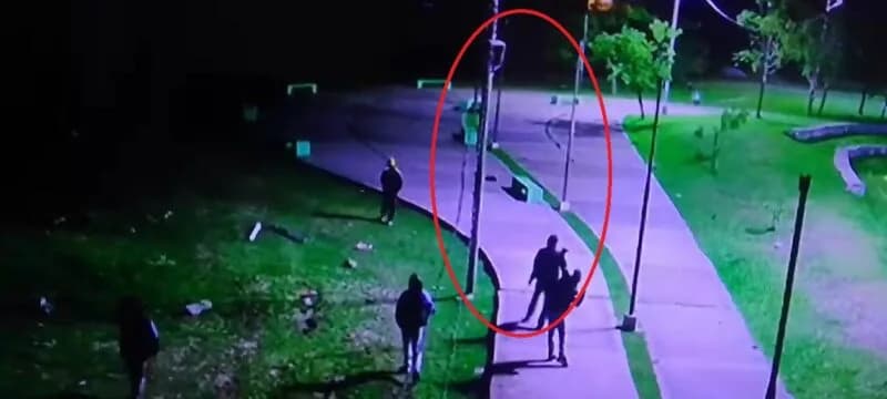 Jóvenes atacaron al alumbrado y cámaras en la zona del Ecoparque