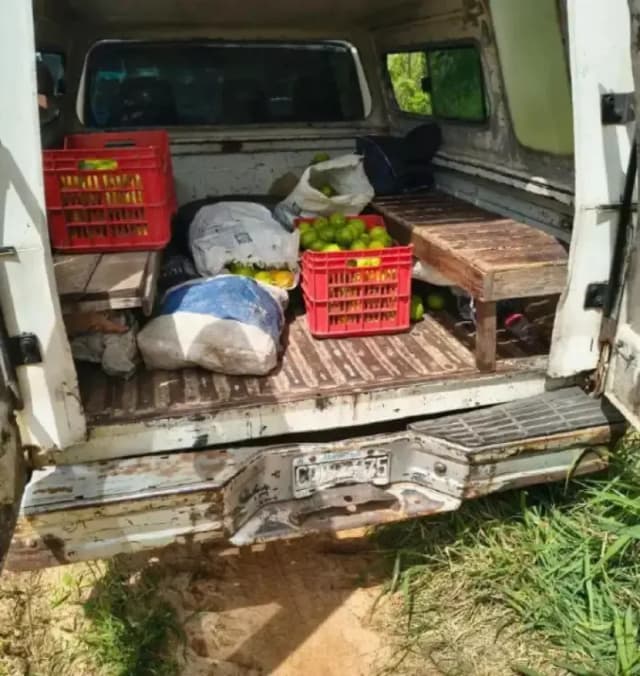 Hurto de limones 
en una chacra