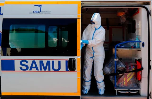 Francia: muere la primera persona infectada por el virus Shamonda