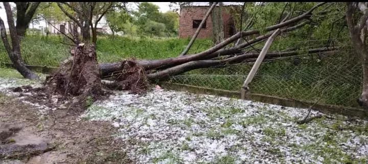 Temporal de granizo y viento golpeó la zona Centro Oeste