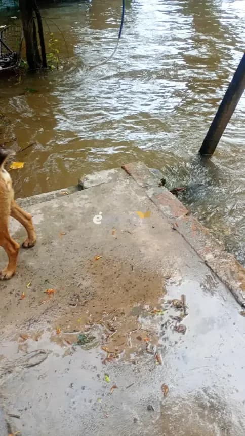 Barrio Bañado Norte: primeras familias evacuadas