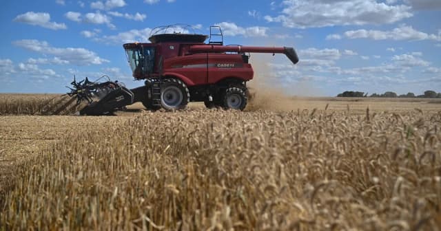 "Es ahora o nunca": Brasil necesitará importar un volumen récord de trigo y se abre una gran oportunidad para la Argentina
