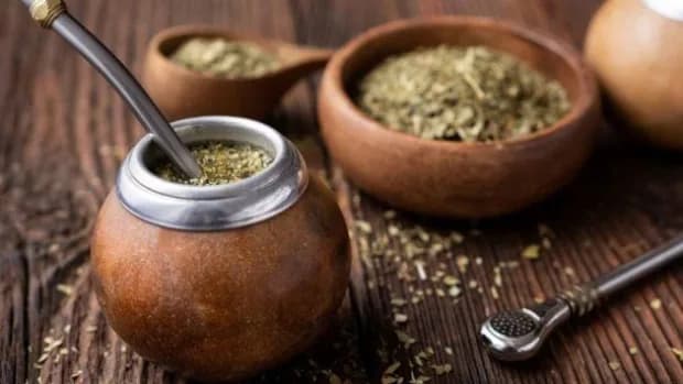 Por qué tomar mate ayuda a bajar el colesterol, según un estudio