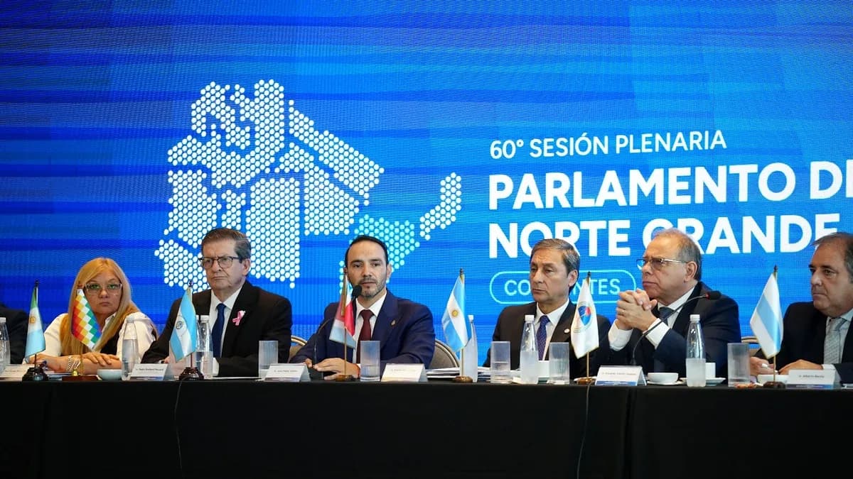 El Parlamento del Norte Grande apoyó el reclamo de Corrientes sobre la Isla Apipé
