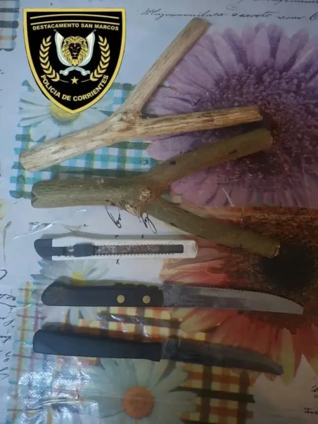 Demoraron a un hombre que merodeaba entre pastizales y llevaba dos cuchillos