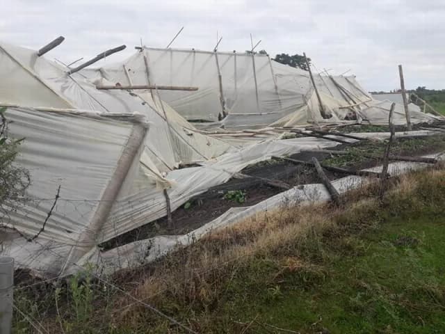 El temporal del viernes causó graves daños en los sectores productivos