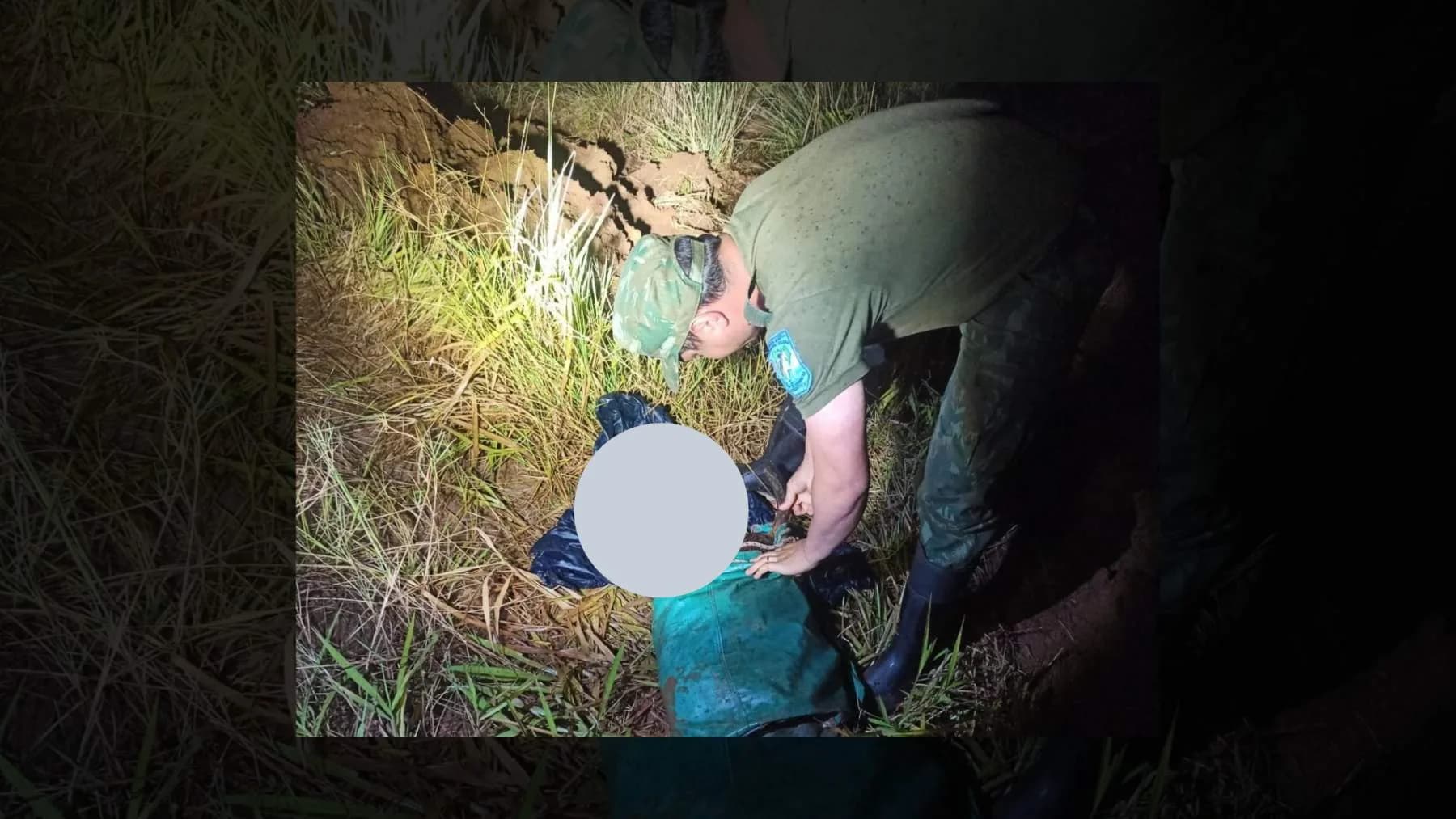 Corrientes: secuestran 120 kilos de carne proveniente de una faena ilegal
