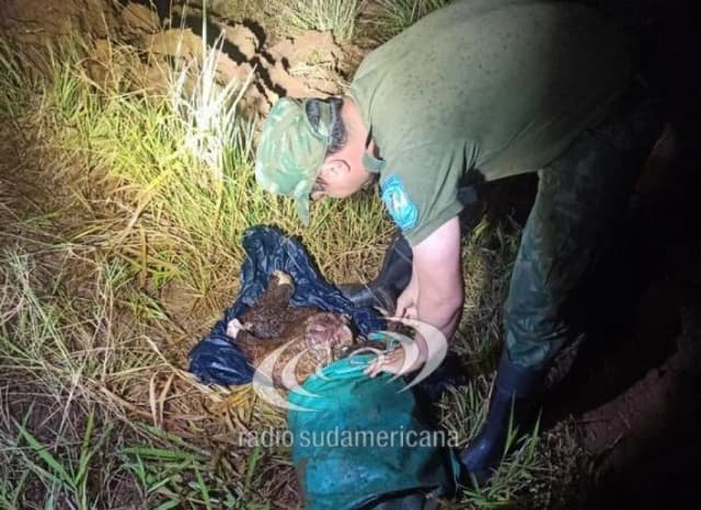 Secuestraron más de 120 kilos de carne vacuna recién faenada