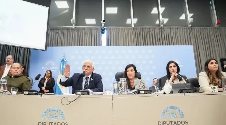 Malvinas: el Gobierno busca modificar el proyecto de Defensa de la Soberanía Nacional