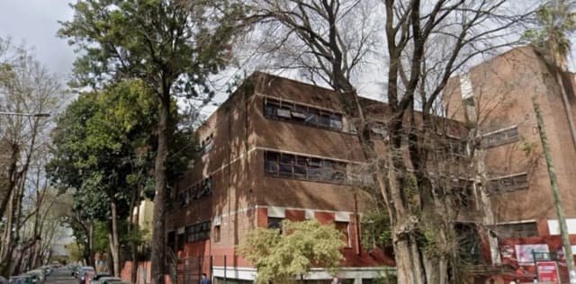 Buenos Aires: bebé de 12 días murió tras caerle una palta en la cabeza