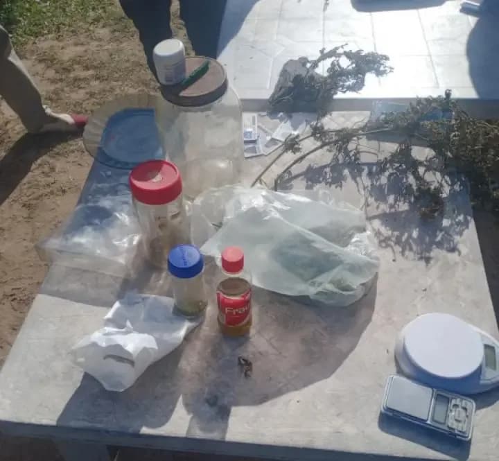 Tenía 50 plantas de marihuana a la vista de todos en su casa de Caá Catí