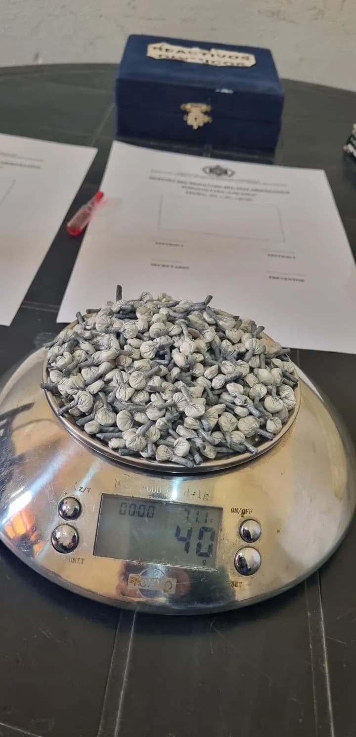 Golpe al narcomenudeo: incautaron cocaína y marihuana en operativos