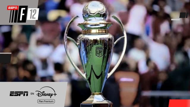 El proyecto sobre el que se trabaja para el torneo 2027