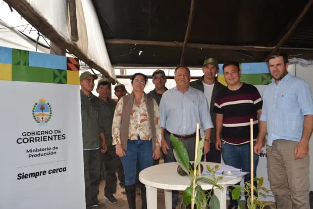 Corrientes: Producción entregó 2.000 plantines de Palta Hass para fortalecer la actividad frutihortícola