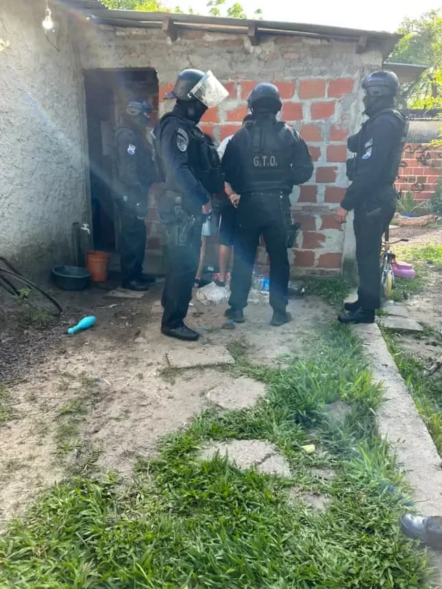 Tres demorados con plantas de marihuana en el interior de Corrientes